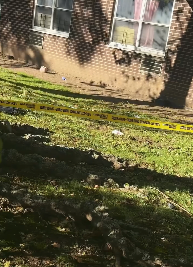 Policía revela qué ocurrió con madre dominicana y su hijo en El Bronx