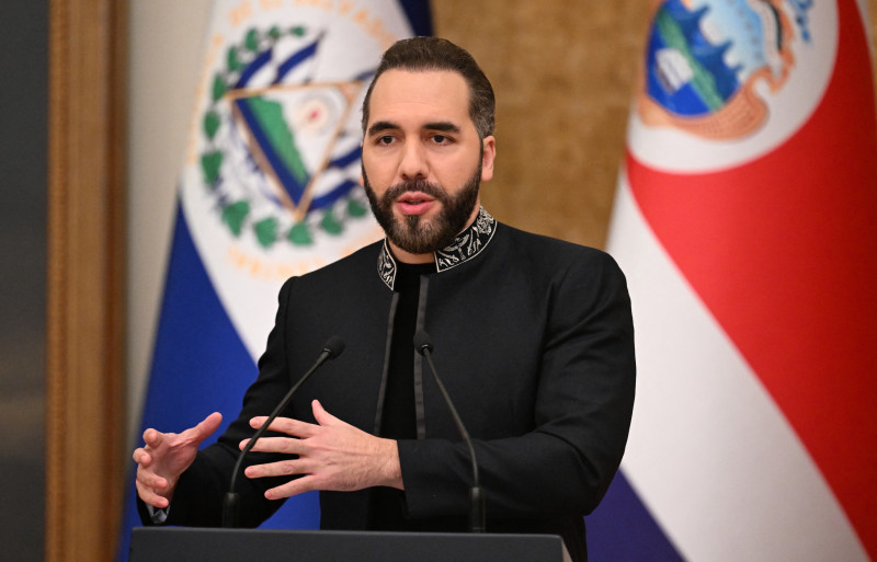 Ramfis pide mayor acción internacional por Haití y respalda a Bukele